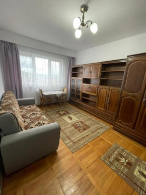 Apartament, very quiet and green area, 30 minutes from UNTOLD, FREE PARKING